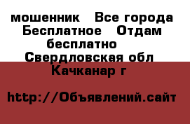 мошенник - Все города Бесплатное » Отдам бесплатно   . Свердловская обл.,Качканар г.